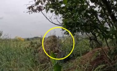 ‘Po përparojmë’ në Bakhmut, thotë gjenerali ukrainas – publikon videon ‘që tregon snajperin që shkatërroi armikun me një të shtënë’