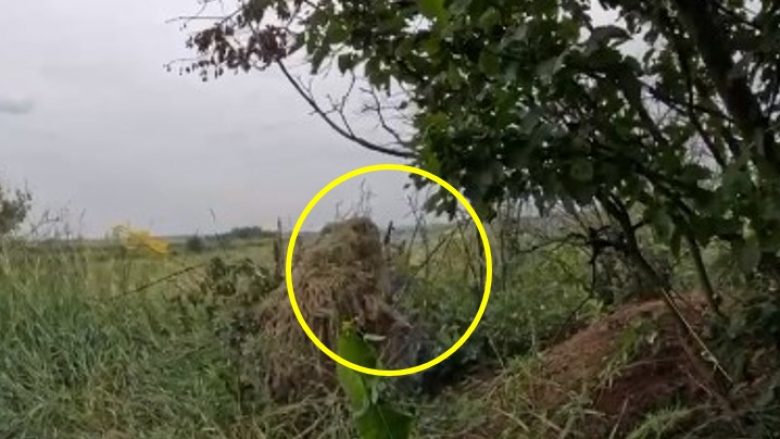 ‘Po përparojmë’ në Bakhmut, thotë gjenerali ukrainas – publikon videon ‘që tregon snajperin që shkatërroi armikun me një të shtënë’