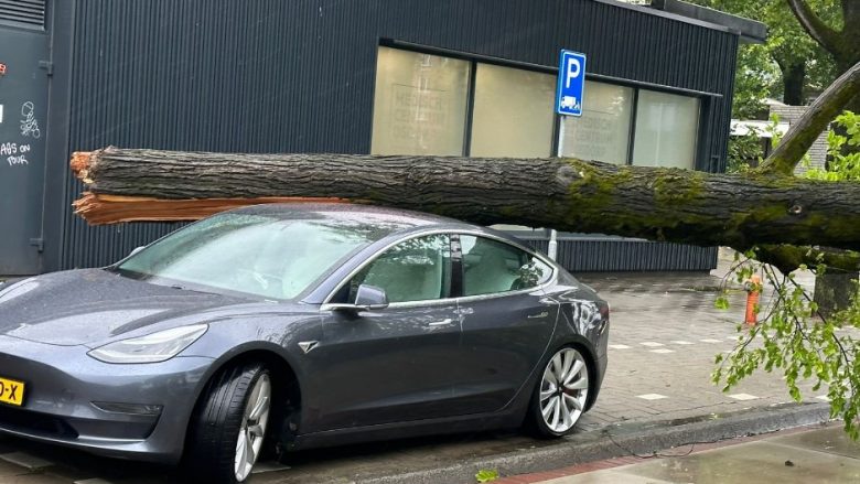Të gjithë çuditen se si Tesla mbeti e paprekur nga rënia e një peme në Holandë