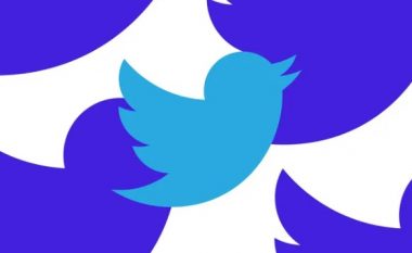 Twitter po punon për një veçori për të publikuar artikuj në platformë