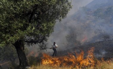 Zjarret në Shqipëri, Rama: 15 vite burg për zjarrvënësit, prokurorët e gjykatësit qasje skandaloze