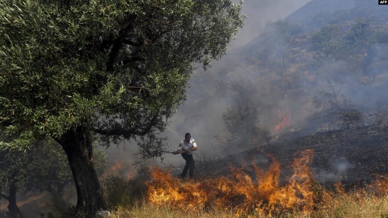Zjarret në Shqipëri, Rama: 15 vite burg për zjarrvënësit, prokurorët e gjykatësit qasje skandaloze