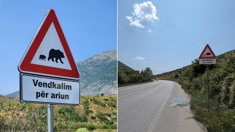 Për herë të parë në Shqipëri: PPNEA vendos gjashtë sinjalistika të reja rrugore për ariun e murrmë