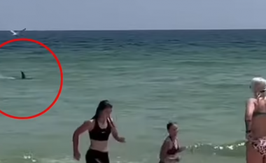 Peshkaqeni i shpejtë tmerron pushuesit e një plazhi në Florida