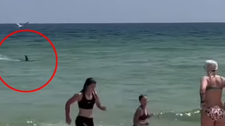 Peshkaqeni i shpejtë tmerron pushuesit e një plazhi në Florida
