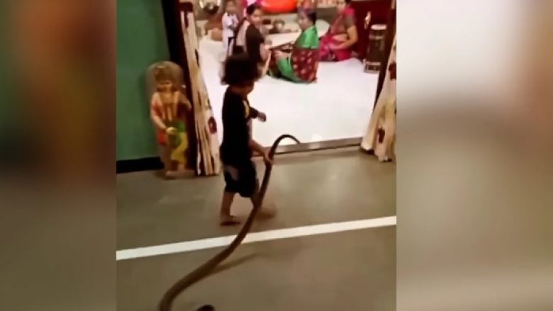 Videoja e djaloshit që fut gjarprin në shtëpi bëhet virale në internet