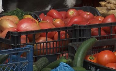Çmimi i domates në Shqipëri vetëm rritet, shkak rënia e prodhimit dhe eksporti