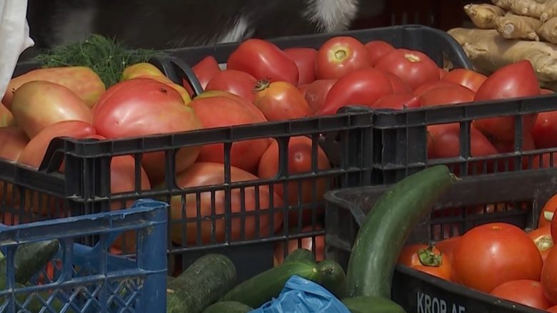 Çmimi i domates në Shqipëri vetëm rritet, shkak rënia e prodhimit dhe eksporti