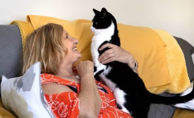 Forca shëruese e maceve: Ja se çfarë shëron ky adhurues shtëpiak!