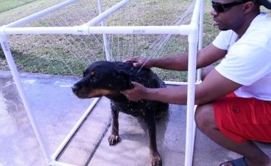 Freski verore: Si ta ndërtoni dushin për qenin në oborrin tuaj!