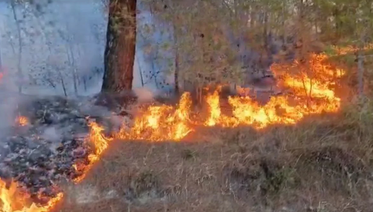 Rreziku për zjarre në Kosovë, Aliu Qytetarët të kenë kujdes e të mos