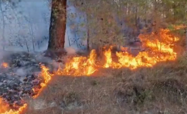 QMK: Gjatë fundjavës janë shuar 71 zjarre në Maqedoninë e Veriut