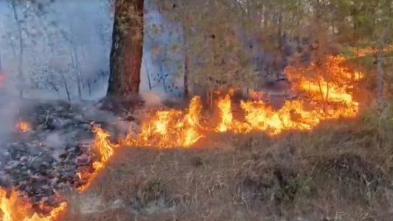 QMK: Zjarre aktive në 5 komuna të Maqedonisë