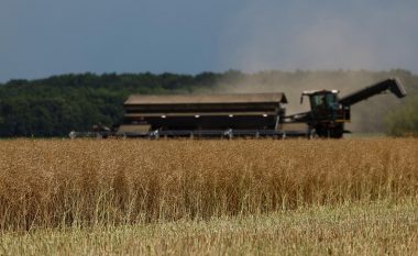 BE-ja e gatshme të lëvizë pothuajse të gjitha eksportet e grurit të Ukrainës
