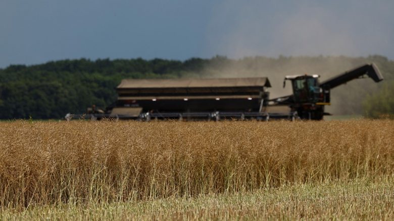 BE-ja e gatshme të lëvizë pothuajse të gjitha eksportet e grurit të Ukrainës