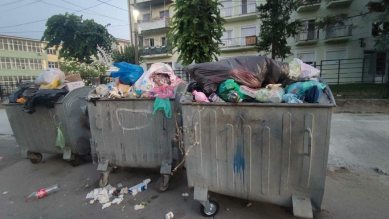 Komunat e Shkupit vetorganizohen për pastrimin e mbeturinave në qytet