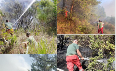 Situata e zjarreve në vend, Peleshi: Po punohet me intensitet, janë pesë vatra aktive