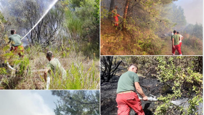Situata e zjarreve në vend, Peleshi: Po punohet me intensitet, janë pesë vatra aktive