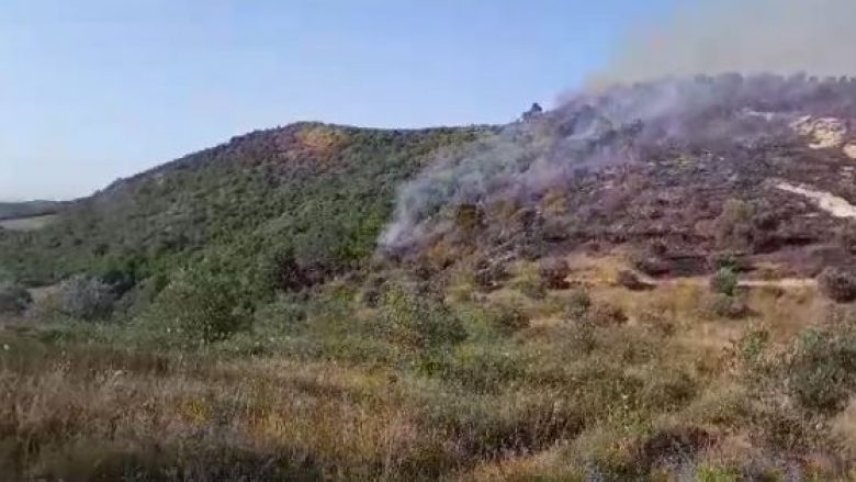 Përmirësohet situata e zjarreve në Vlorë