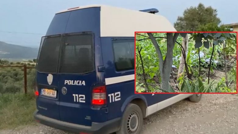 Ngjarje e rëndë në Vlorë, burrë dhe grua humbën jetën duke ujitur arën
