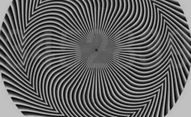 A mund ta gjeni numrin e fshehur në këtë iluzion optik?