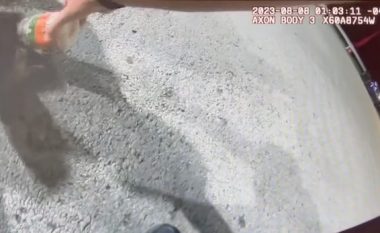 Policët në Ohio ndihmojnë rakunin, ia heqin kavanozin që i kishte ngecur në kokë
