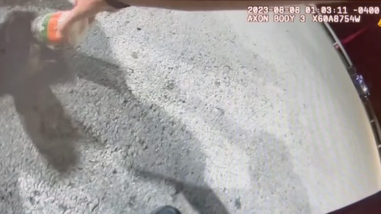 Policët në Ohio ndihmojnë rakunin, ia heqin kavanozin që i kishte ngecur në kokë