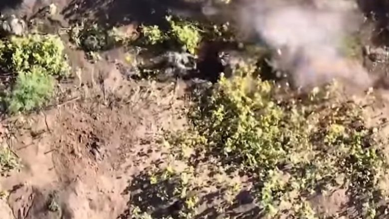 Po tentonin të avanconin drejt pozicioneve të ukrainasve, ushtarët rusë vriten – goditen nga bomba që hidhet nga droni