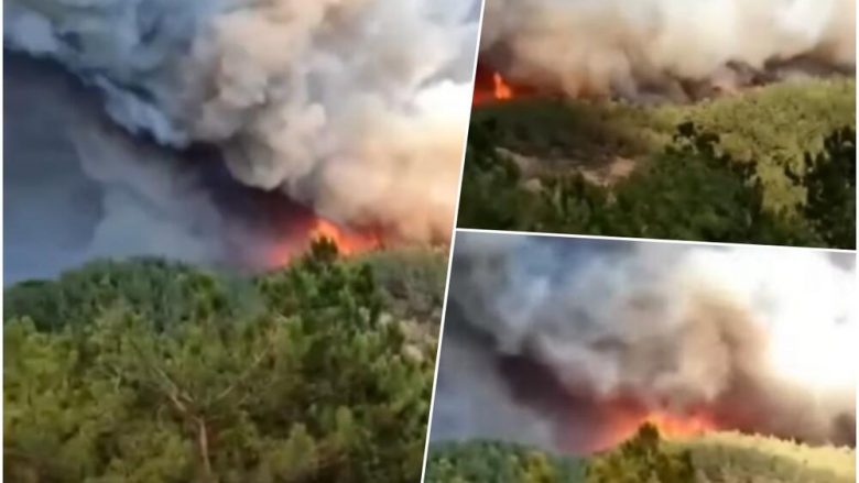 Tmerr në Greqi, gjenden më shumë se 18 trupa të karbonizuar – ishin të ndarë në dy grupe në pyllin që nuk ka pushuar së djeguri që nga e hëna