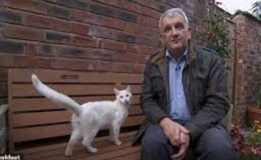 Gazetari i BBC-së po raportonte për kopshtet në Mançester, macja e ndërpret gjatë transmetimit direkt