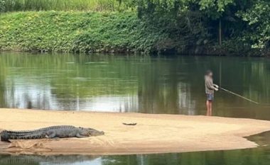 Peshkatari australian qëndron plotësisht i qetë pranë krokodilit gjigant, madje ia kthen shpinën dhe nuk i bën fare përshtypje reptili