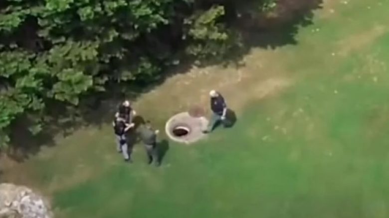 Pas vjedhjes tentoi të fshihet nga policia, droni zbulonin lokacionin e hajnit në SHBA