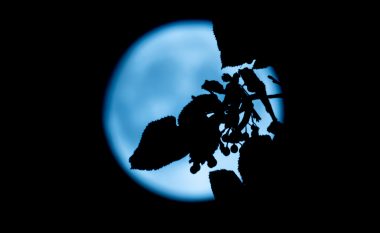 Imazhet spektakolare të Super-Hënës blu, nga Kosova e deri tek vendet e tjera në botë