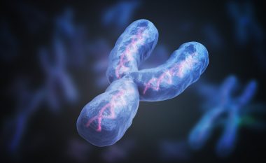 Shkencëtarët më në fund deshifrojnë kromozomin Y të njerëzve
