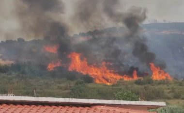 23 të arrestuar për zjarrvënie të qëllimshme në Shqipëri