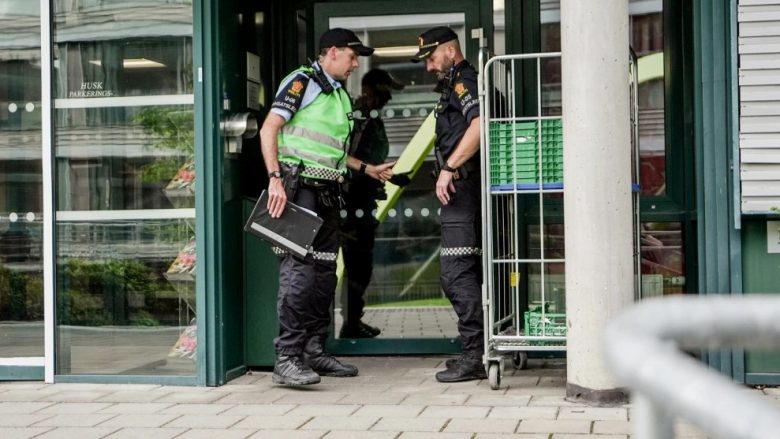 Sulm me thikë në Norvegji, një student plagosi dy profesorë në universitet
