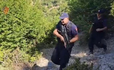 Shqipëri, parcelë marihuane në një repart ushtarak