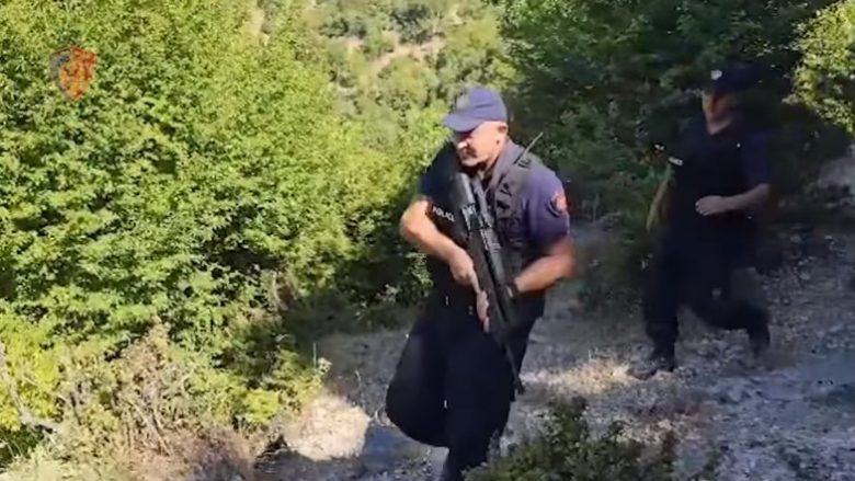Shqipëri, parcelë marihuane në një repart ushtarak