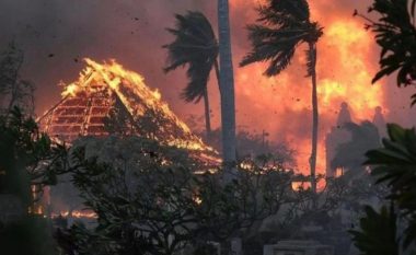 Njerëzit hidhen në oqean për t'i shpëtuar zjarreve në Hawaii - të paktën gjashtë të vdekur