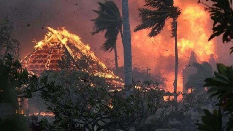 Njerëzit hidhen në oqean për t’i shpëtuar zjarreve në Hawaii – të paktën gjashtë të vdekur
