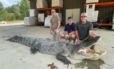 Aligatori masiv i kapur në Misisipi thyen një rekord të ri shtetëror