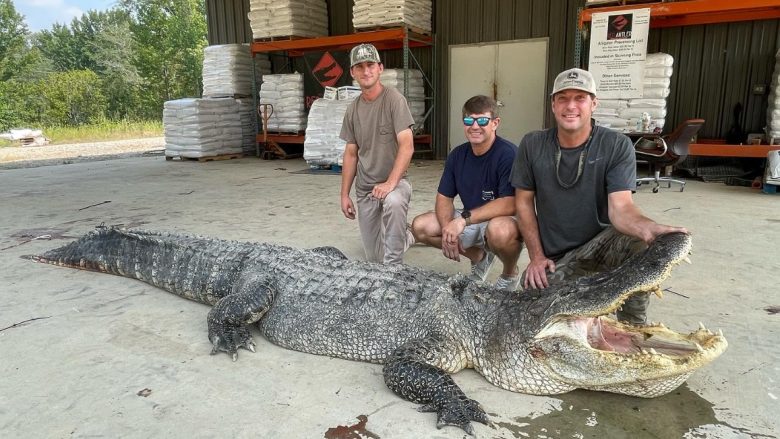 Aligatori masiv i kapur në Misisipi thyen një rekord të ri shtetëror