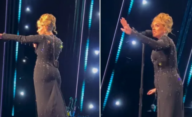 Adele ndalon performancën në Las Vegas për të ndihmuar një fans që po ngacmohej nga një roje sigurie