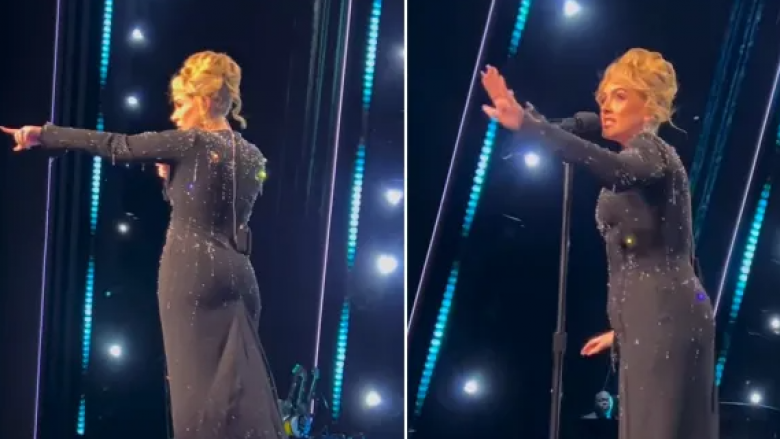 Adele ndalon performancën në Las Vegas për të ndihmuar një fans që po ngacmohej nga një roje sigurie