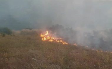 Lokalizohet zjarri në afërsi të fshatit Lubin në Saraj