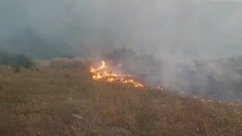 Ndezi zjarr për të djegur barishte në tokën e tij, flakët u përhapën dhe dogjën dhjetëra hektarë në Levan, arrestohet 42-vjeçari