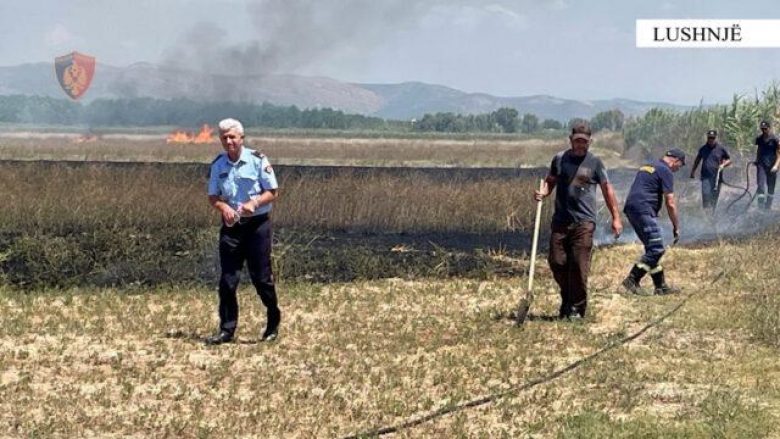 Zjarrvënie e qëllimshme në Lushnje, arrestohet 19-vjeçari