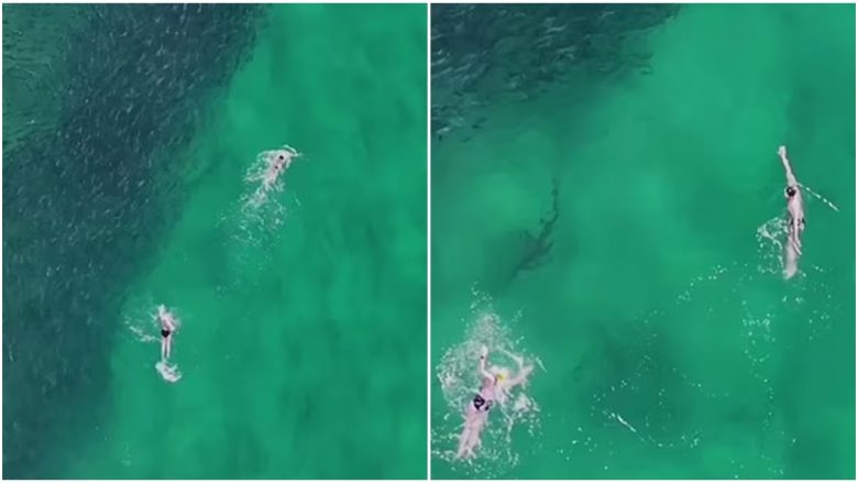 Peshkaqeni ua futi tmerrin dy australianëve duke notuar vetëm disa metra afër tyre