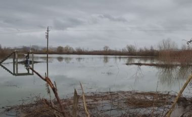 Rrezik përmbytje në Shqipëri, ministri i Mbrojtjes: Priten reshje me intensitet të lartë në qarqet Shkodër, Lezhë, Durrës, Tiranë, Fier dhe Vlorë