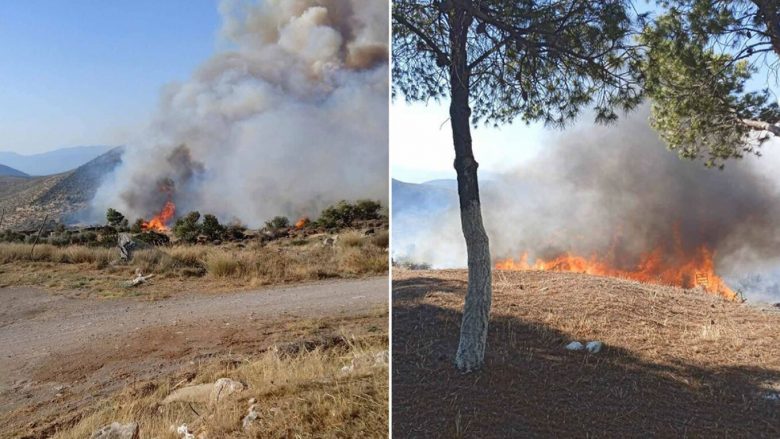 Zjarret në Greqi, gjen vdekjen një bari i cili kishte nxituar për të shpëtuar delet e tij